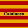 Jordi Gracia: federalismo por el bien de España