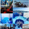 A San Pedro le encanta pescar almas y peces en las aguas de Coquimbo