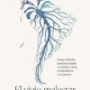 El Viejo Malestar del Nuevo Mundo. Segundo artículo